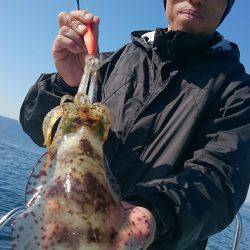 シースナイパー海龍 釣果