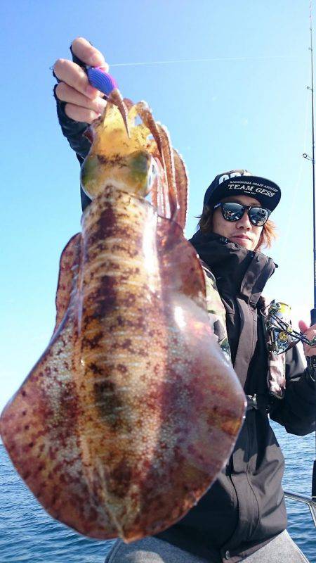 シースナイパー海龍 釣果