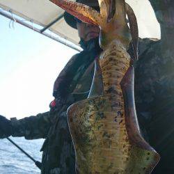 シースナイパー海龍 釣果