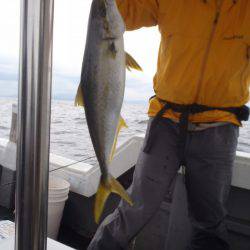 第二龍勢丸 釣果