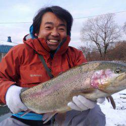 つりぼりあかし 釣果