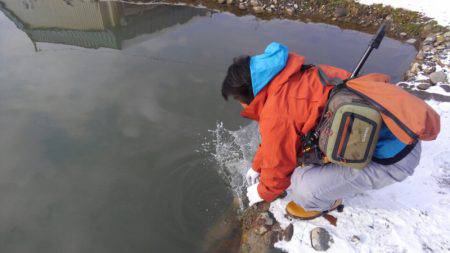 つりぼりあかし 釣果