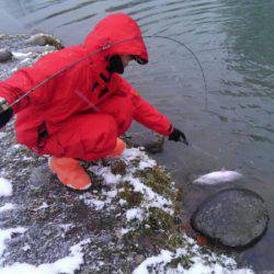 つりぼりあかし 釣果
