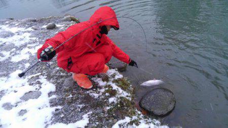 つりぼりあかし 釣果