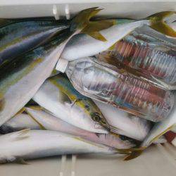 サンマリン 釣果