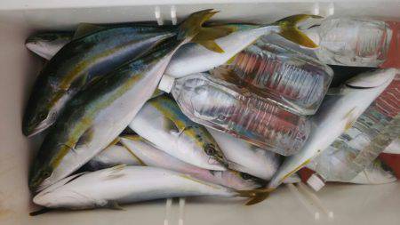 サンマリン 釣果