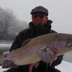 つりぼりあかし 釣果