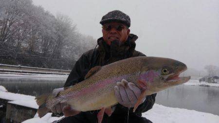 つりぼりあかし 釣果