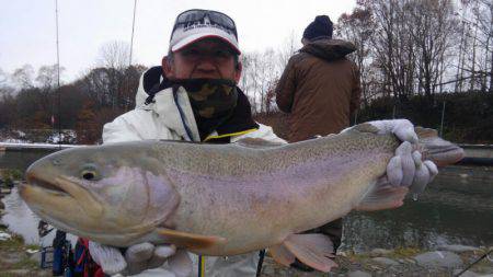 つりぼりあかし 釣果