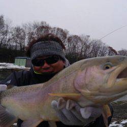 つりぼりあかし 釣果