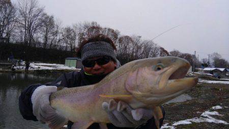 つりぼりあかし 釣果