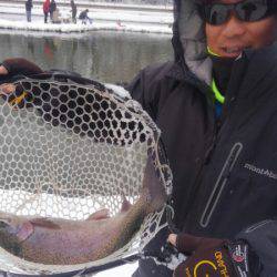 つりぼりあかし 釣果