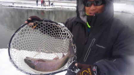 つりぼりあかし 釣果