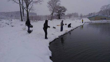 つりぼりあかし 釣果