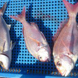 第三共栄丸 釣果