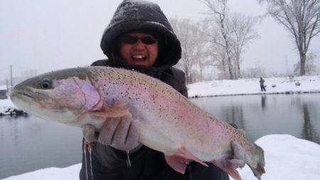 つりぼりあかし 釣果