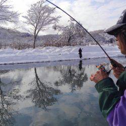 つりぼりあかし 釣果