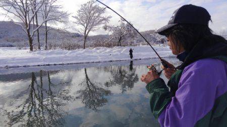 つりぼりあかし 釣果