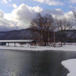 つりぼりあかし 釣果