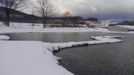 つりぼりあかし 釣果