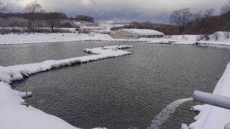 つりぼりあかし 釣果