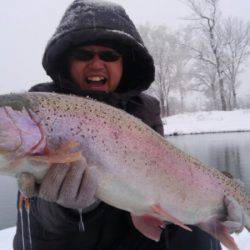 つりぼりあかし 釣果