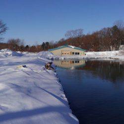 つりぼりあかし 釣果