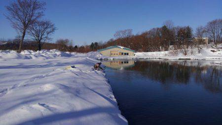 つりぼりあかし 釣果