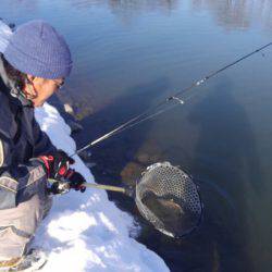 つりぼりあかし 釣果