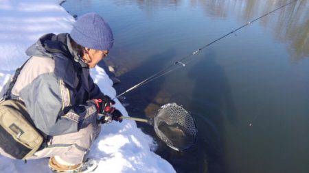 つりぼりあかし 釣果
