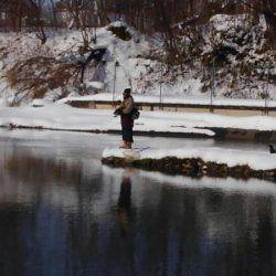 つりぼりあかし 釣果
