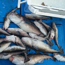 海龍丸（石川） 釣果