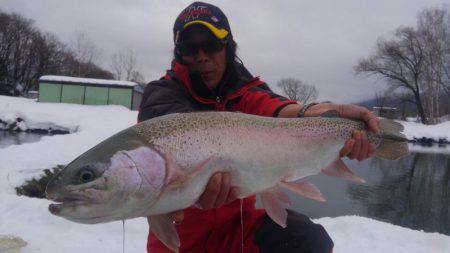 つりぼりあかし 釣果