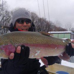 つりぼりあかし 釣果