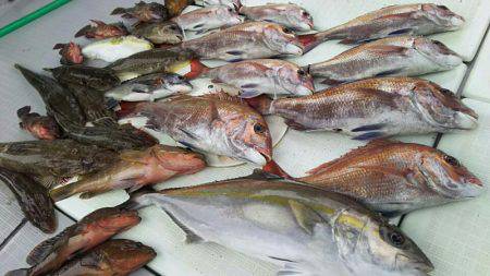 タイラバ遊漁船 ワンピース 釣果