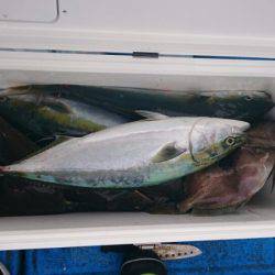 海龍丸（石川） 釣果