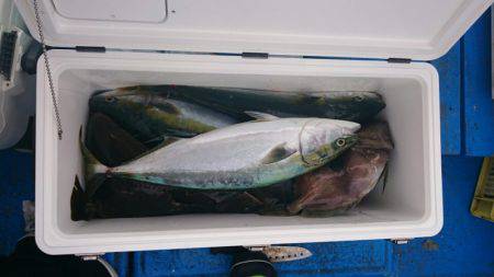 海龍丸（石川） 釣果