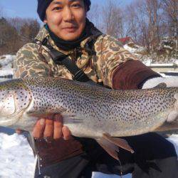 つりぼりあかし 釣果