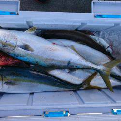 海龍丸（石川） 釣果