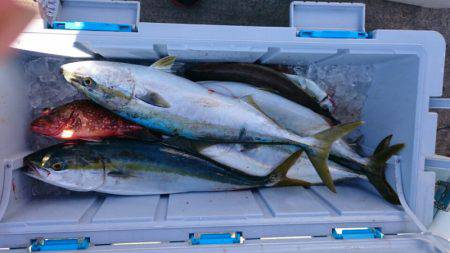 海龍丸（石川） 釣果