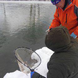 つりぼりあかし 釣果