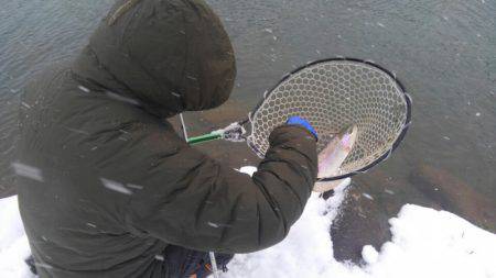 つりぼりあかし 釣果