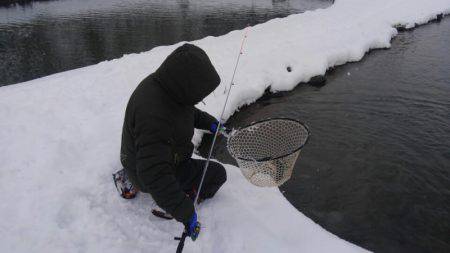 つりぼりあかし 釣果