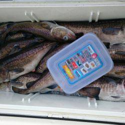 海龍丸(石川) 釣果