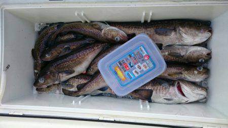 海龍丸(石川) 釣果