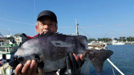 富士丸 釣果