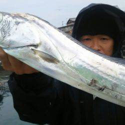 サンマリン 釣果