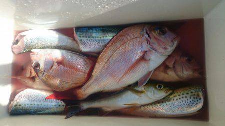 第三共栄丸 釣果