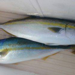 第三共栄丸 釣果