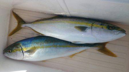 第三共栄丸 釣果